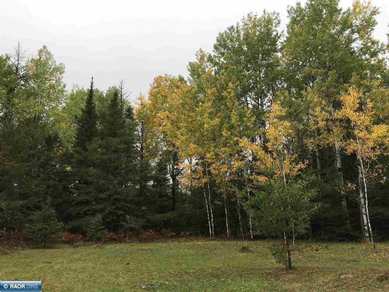 8365 old cemetery Road Tower MN 55790 144929 image1