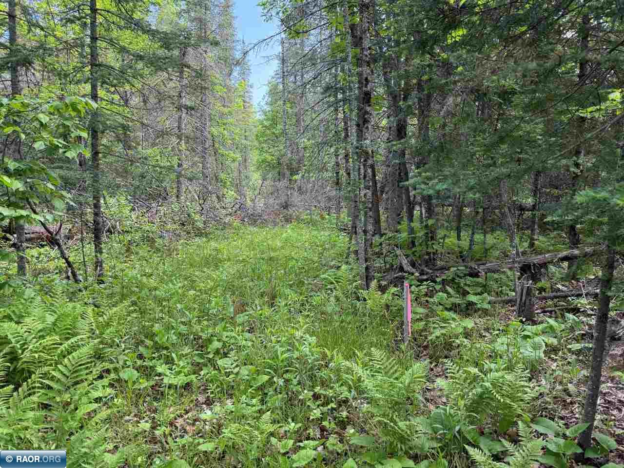 8623 Labrador Ct Mt Iron MN 55768 - Mashkenode Lake 148014 image17