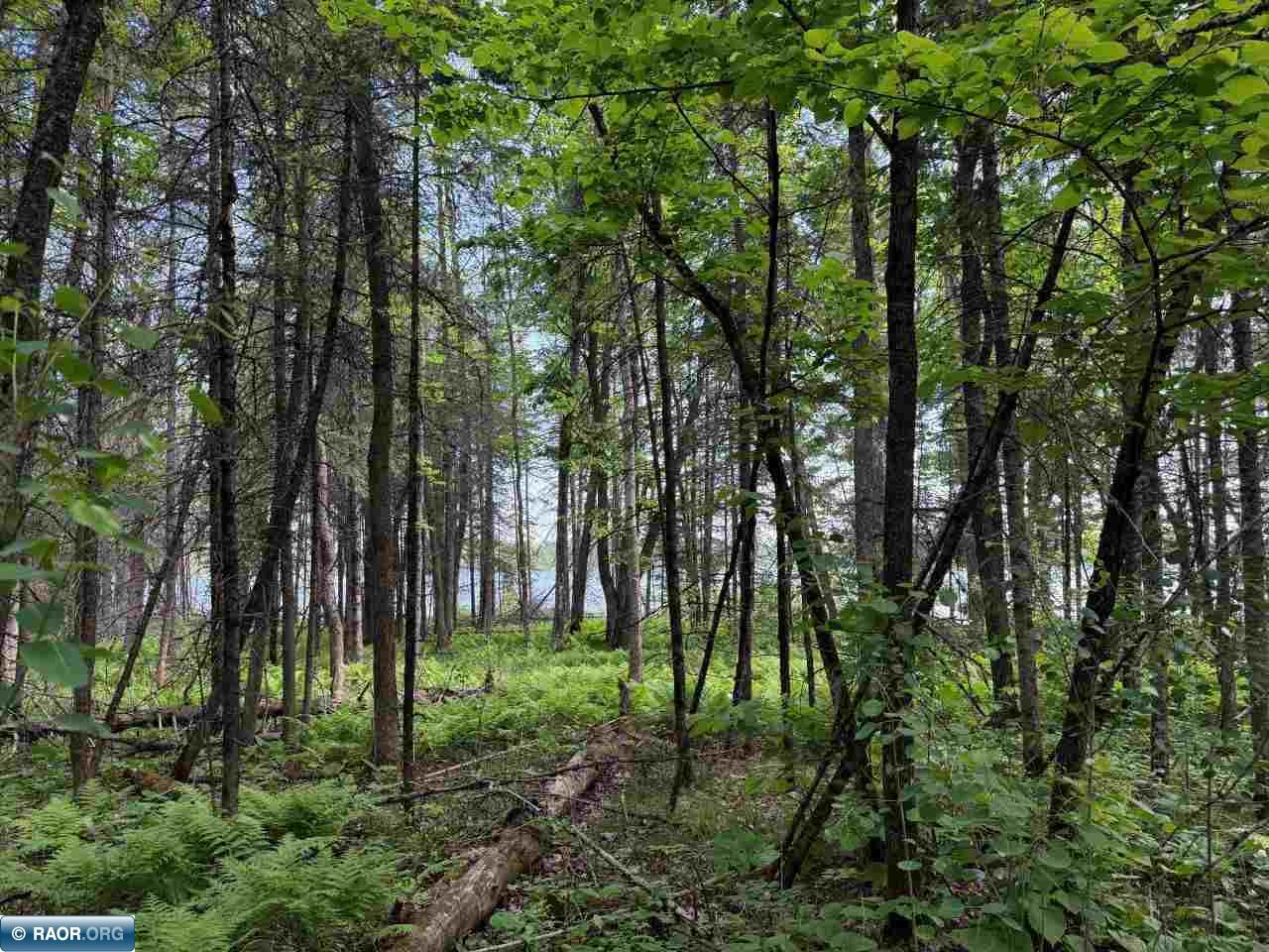 8623 Labrador Ct Mt Iron MN 55768 - Mashkenode Lake 148014 image20