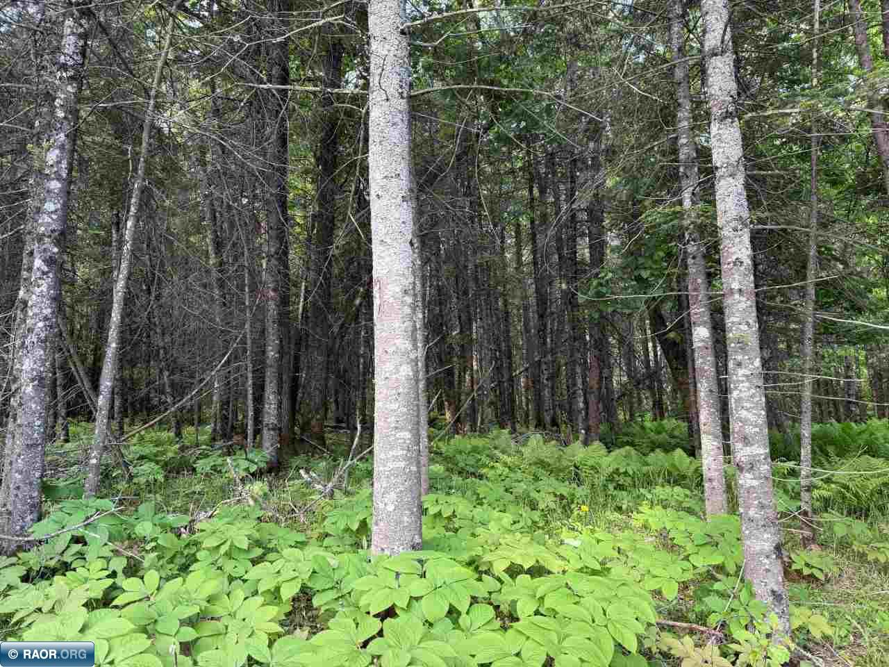 8623 Labrador Ct Mt Iron MN 55768 - Mashkenode Lake 148014 image21