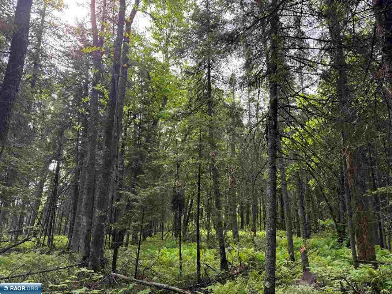 8623 Labrador Ct Mt Iron MN 55768 - Mashkenode Lake 148014 image22