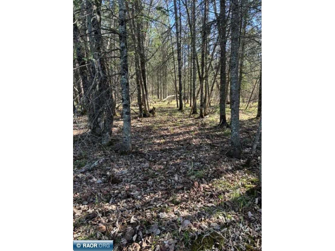 8623 Labrador Ct Mt.Iron MN 55768 - Mashkenode Lake 150019 image6