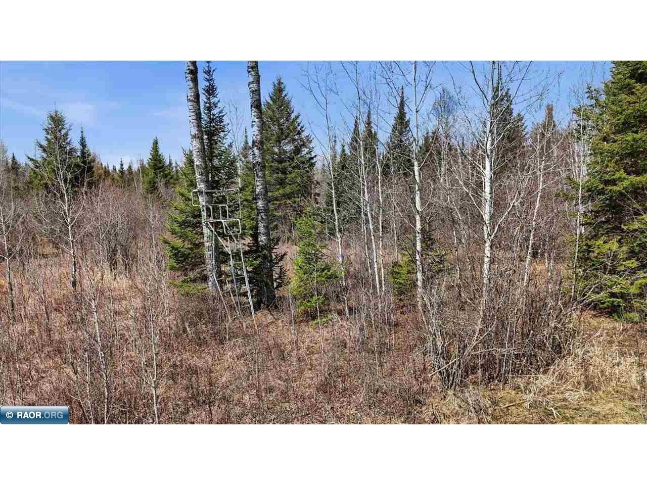 8849 Hwy 25 Angora MN 55703 149963 image12