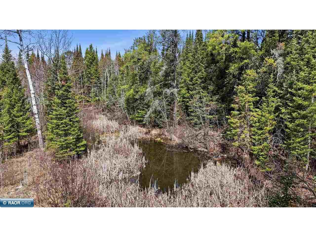 8849 Hwy 25 Angora MN 55703 149963 image13