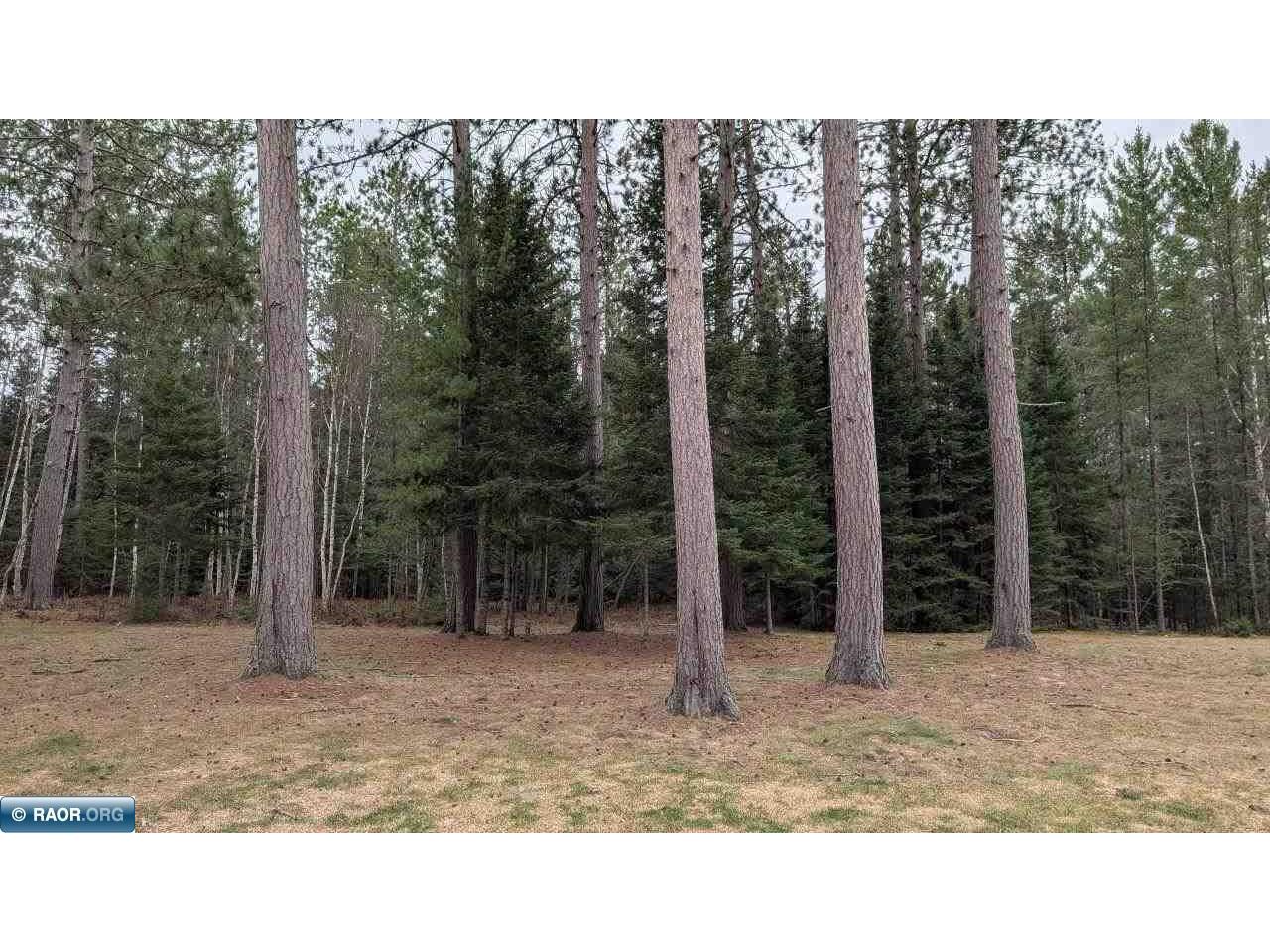 8854 River Drive Angora MN 55703 - Sturgeon River 149731 image38