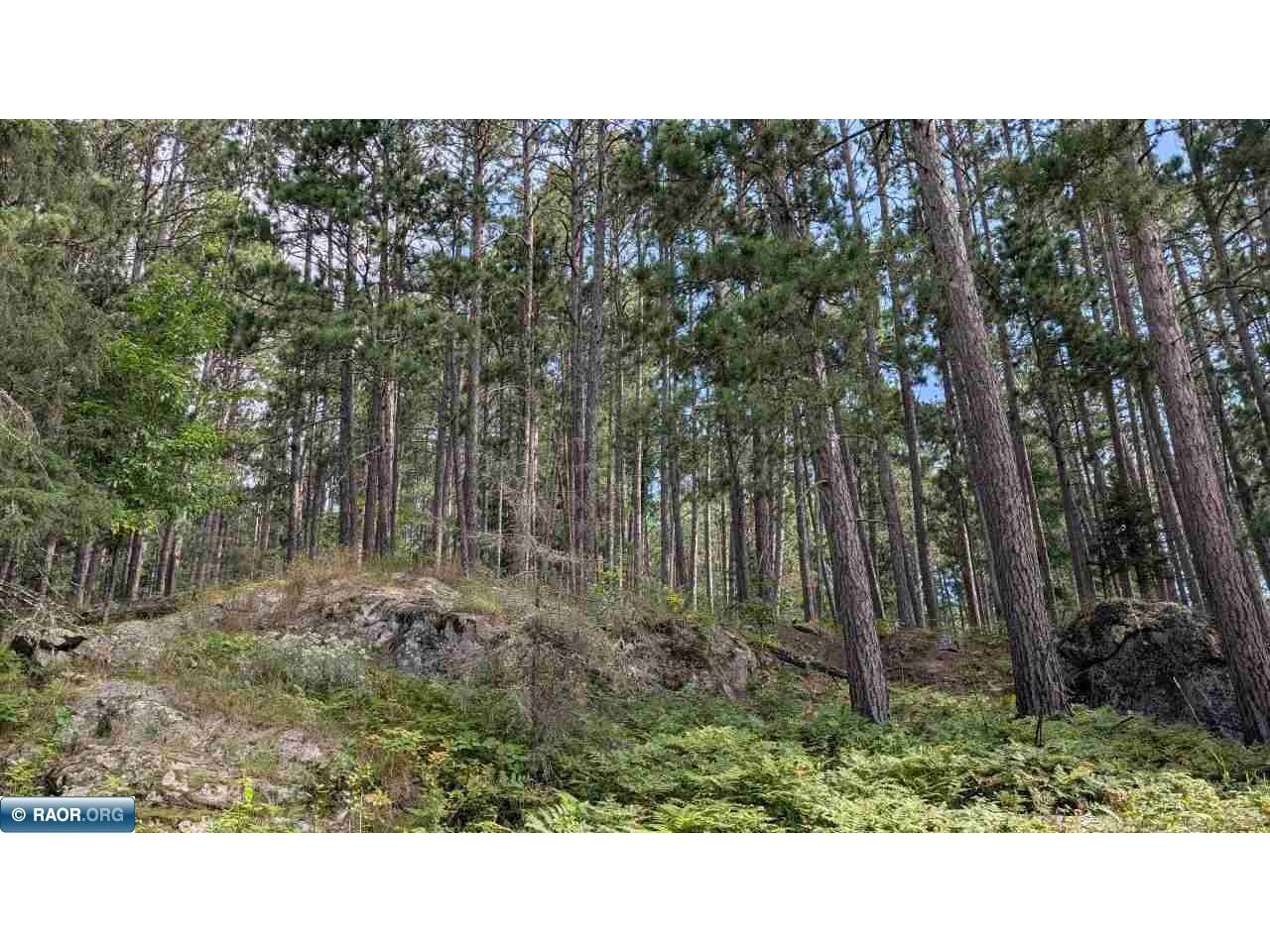 8884 Raps Road Cook MN 55723 - Vermilion 148926 image39