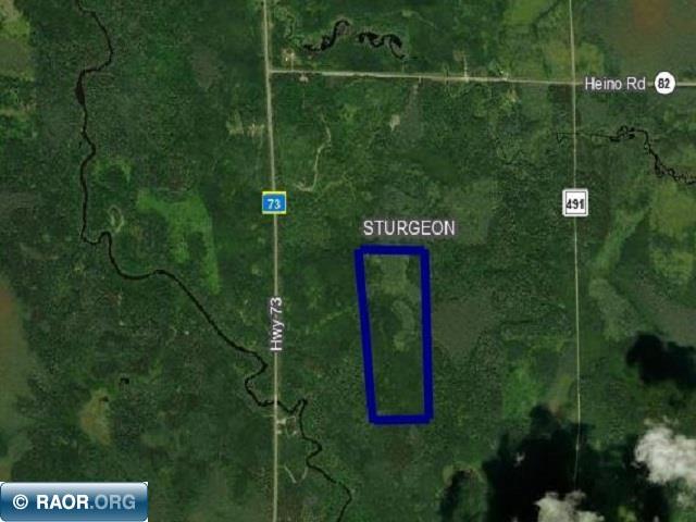 8xxx Hwy 73 Angora MN 55703 146078 image1
