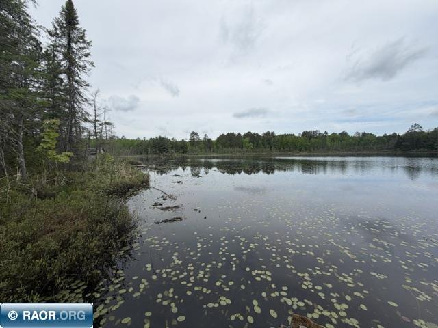 9064 Peppard Road Britt MN 55710 - Arrowhead Lake 150096 image25