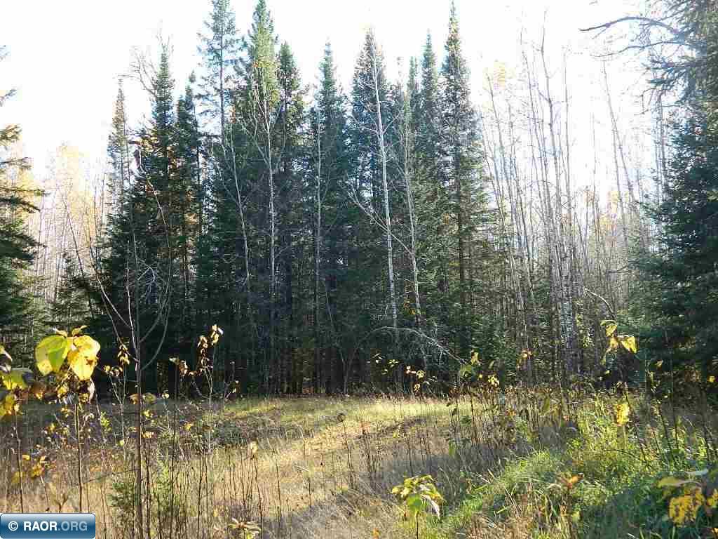 9372 County Road 32W Loman MN 56654 149363 image13