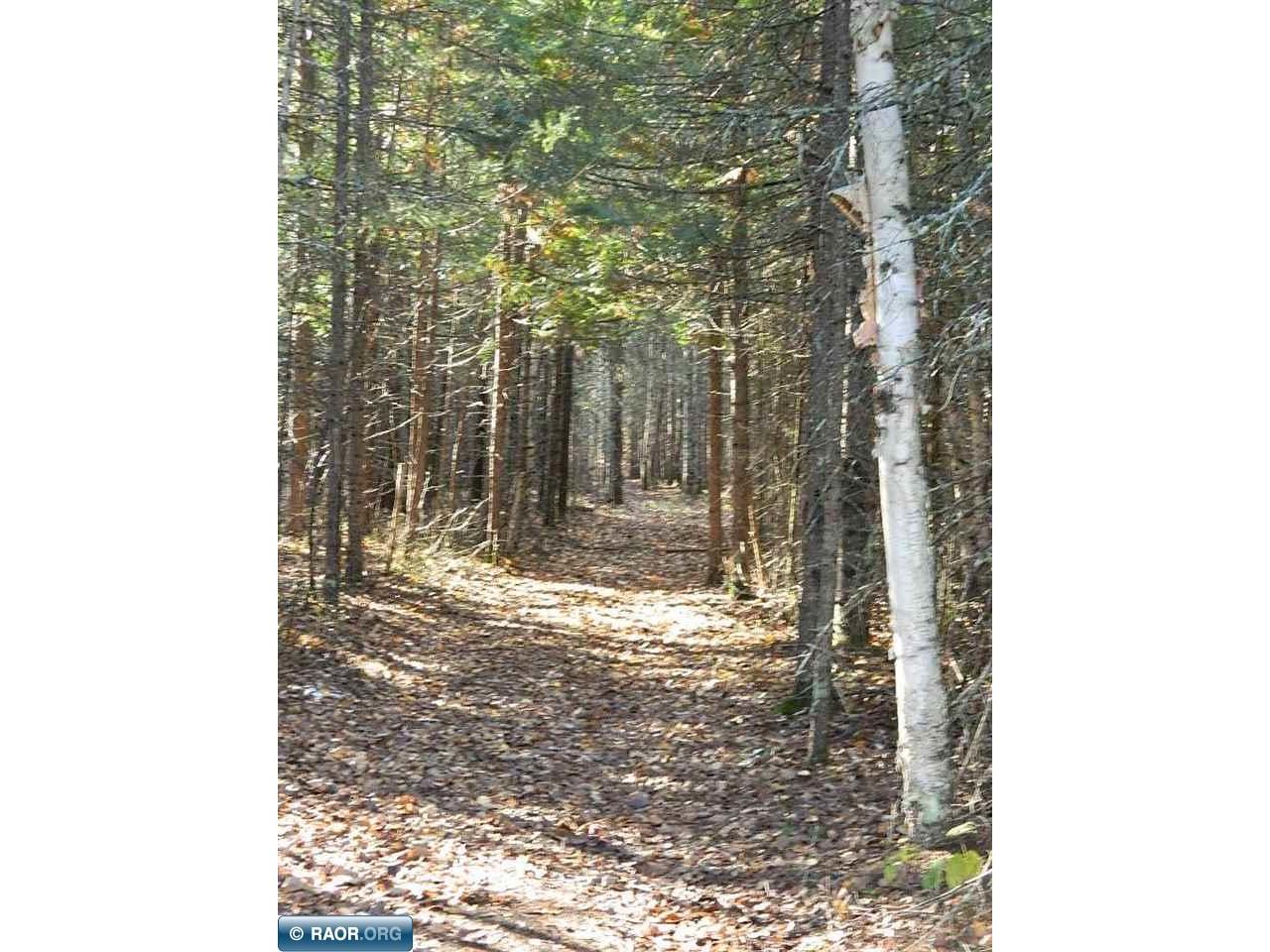 9372 County Road 32W Loman MN 56654 149363 image15