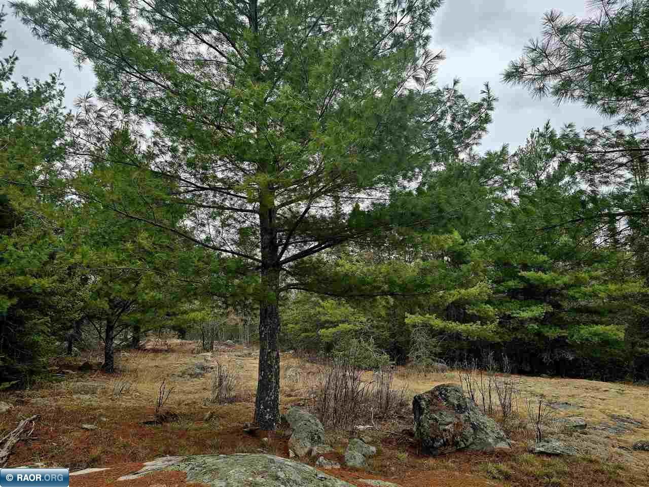 9464 Highway 53 Kabetogama MN 56669 149924 image18
