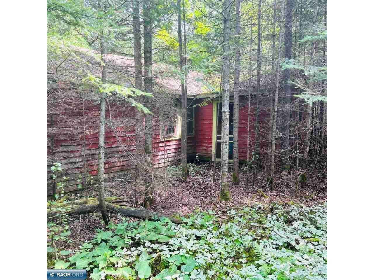 95262 Pine Island Tower MN 55790 - Vermilion 147170 image1
