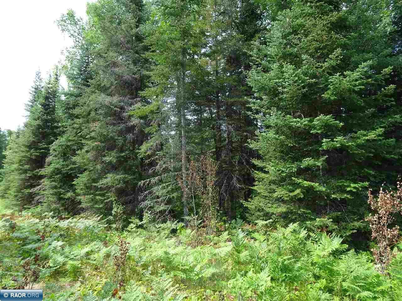 Flaim Road Tower MN 55790 145381 image1