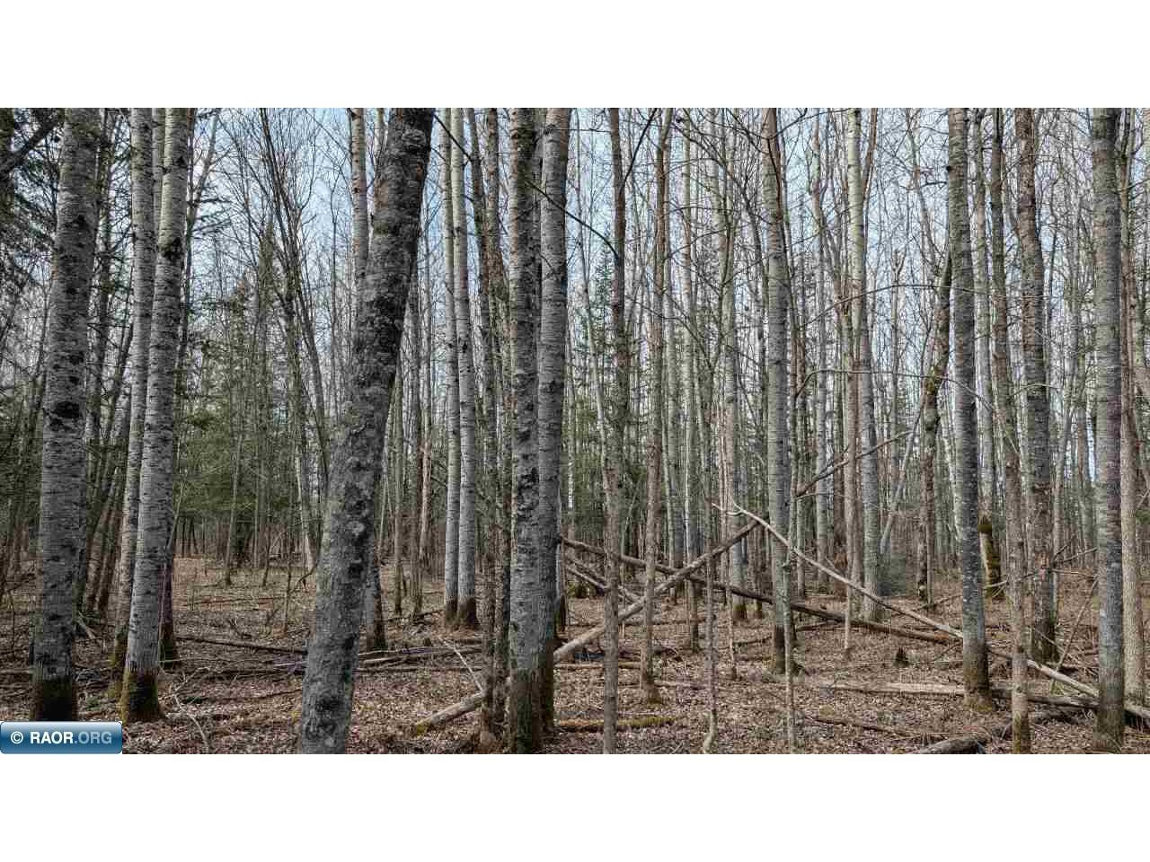 Lot 6 Lund Road Cook MN 55732 149921 image7