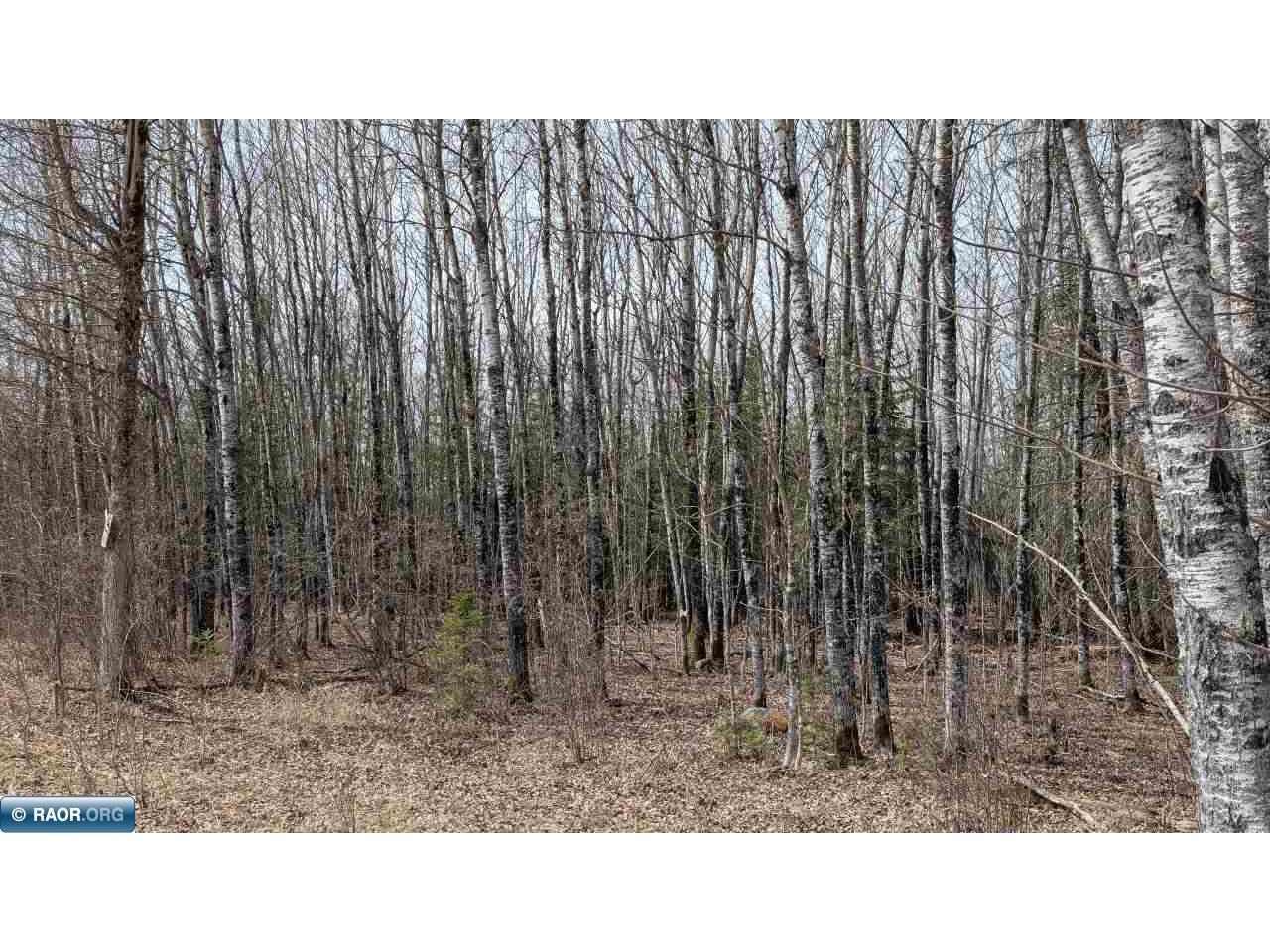 Lot 9 Lund Road Cook MN 55732 149926 image3