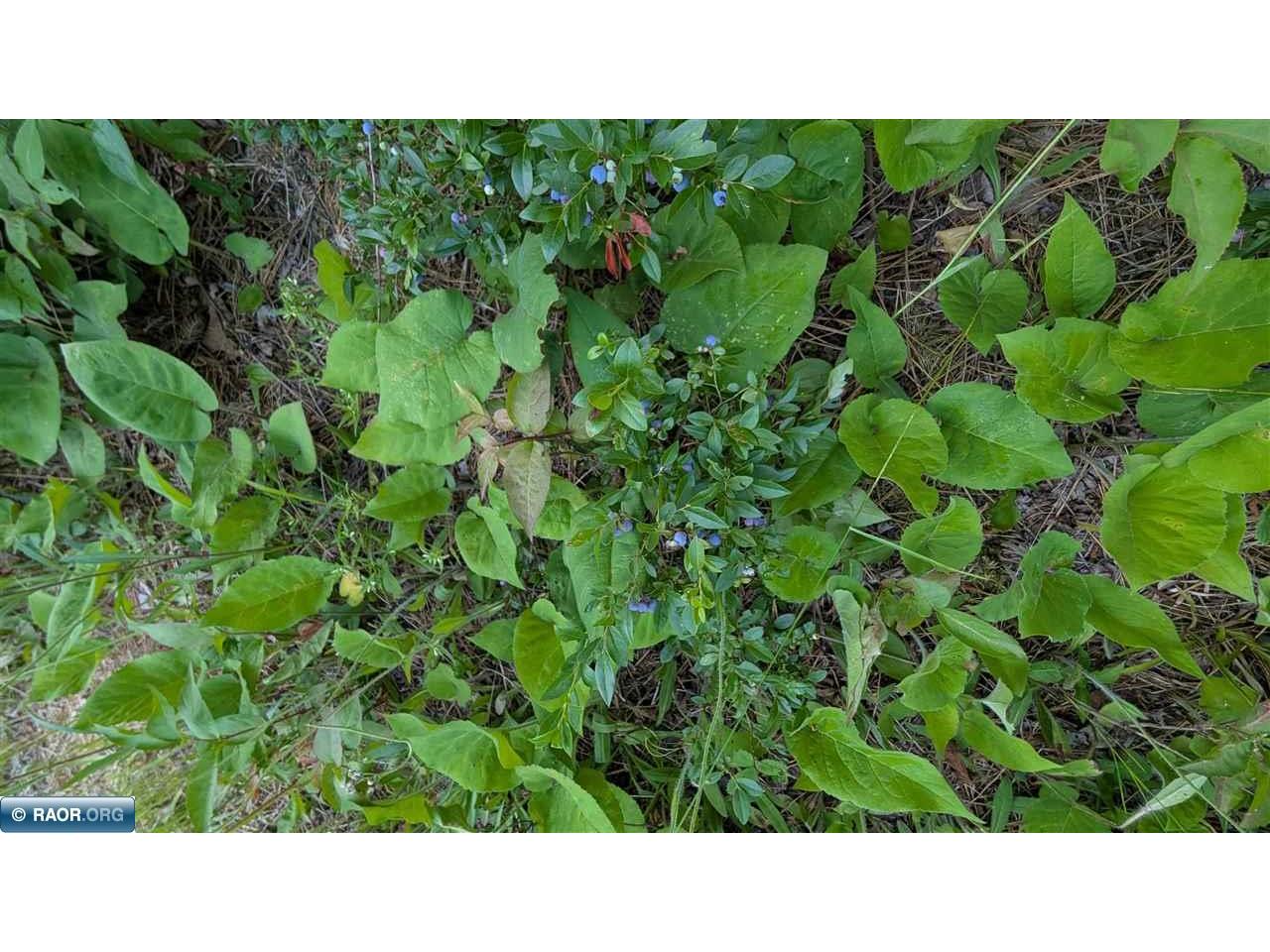 Lot B Hwy. 24 Orr MN 55771 150344 image9
