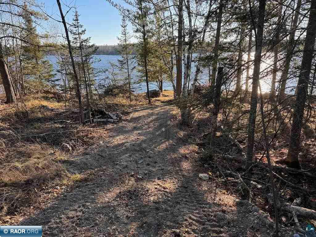 PARCEL D Fectos Road Tower MN 55790 - Vermiliion 149541 image10