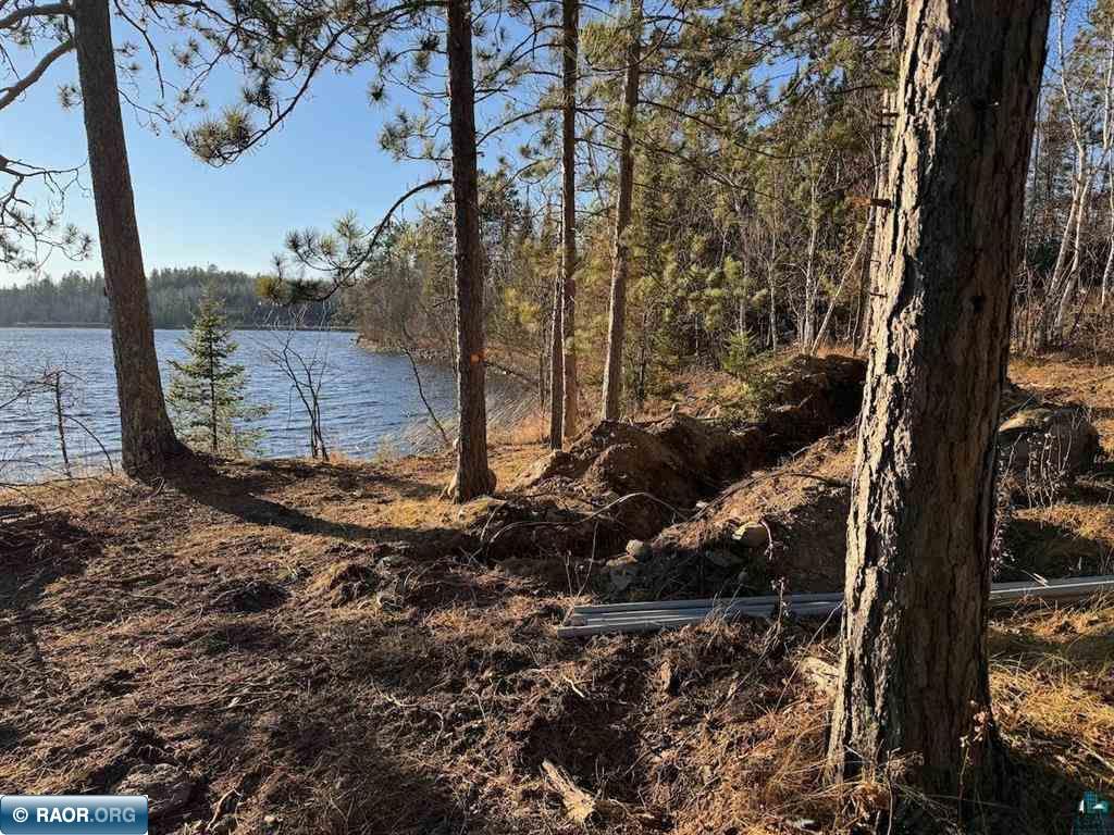 PARCEL D Fectos Road Tower MN 55790 - Vermiliion 149541 image11