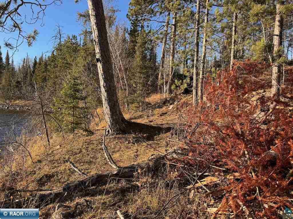 PARCEL D Fectos Road Tower MN 55790 - Vermiliion 149541 image13