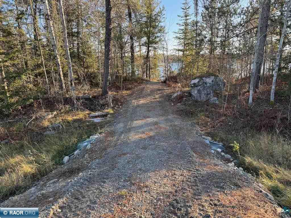 PARCEL D Fectos Road Tower MN 55790 - Vermiliion 149541 image9