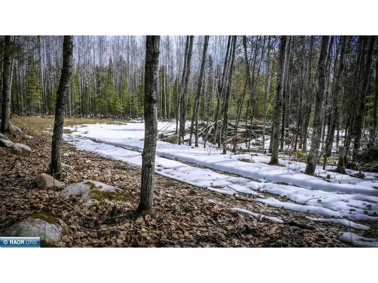TBD Parcel 12 Hwy 115 Tower MN 55790 149713 image7
