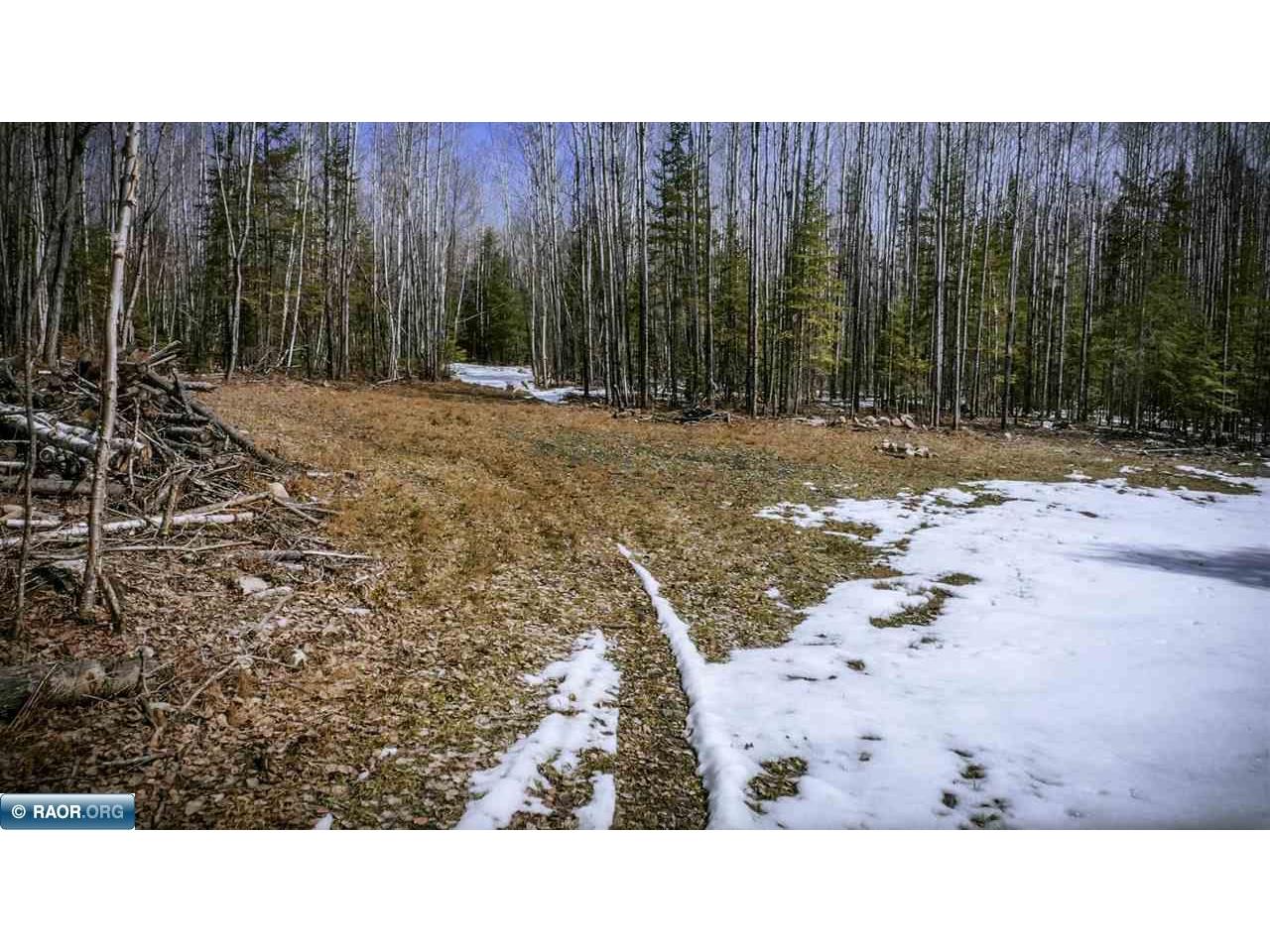 TBD Parcel 12 Hwy 115 Tower MN 55790 149713 image8