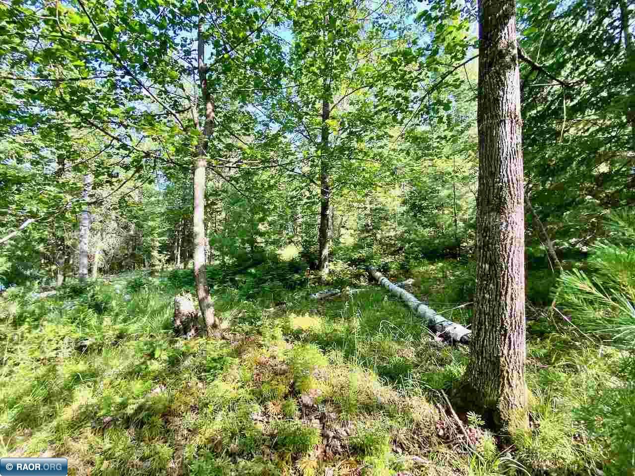 Parcel B Taylors Island Lake Vermilion Cook MN 55723 - Vermilion 149933 image10