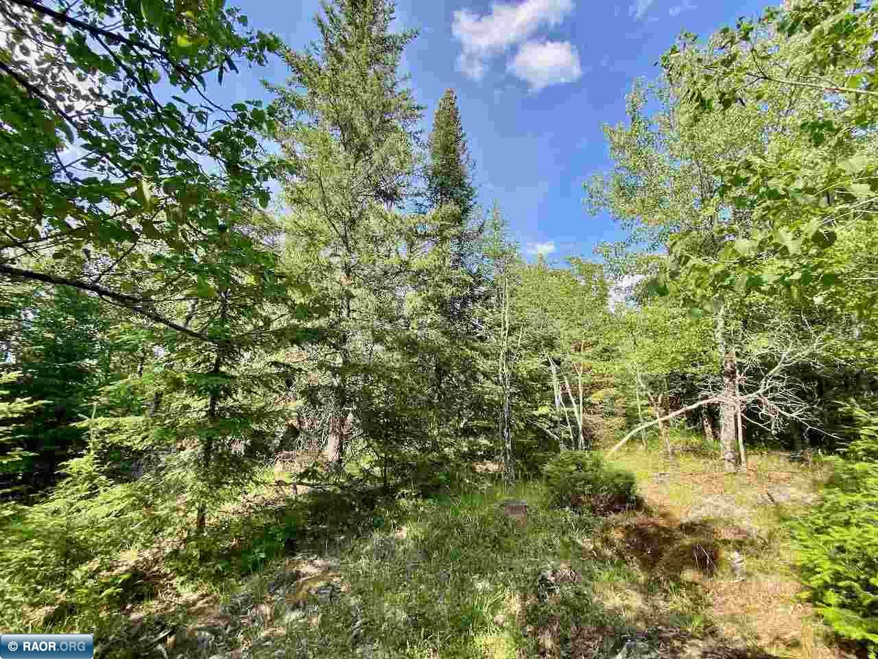 Parcel B Taylors Island Lake Vermilion Cook MN 55723 - Vermilion 149933 image14
