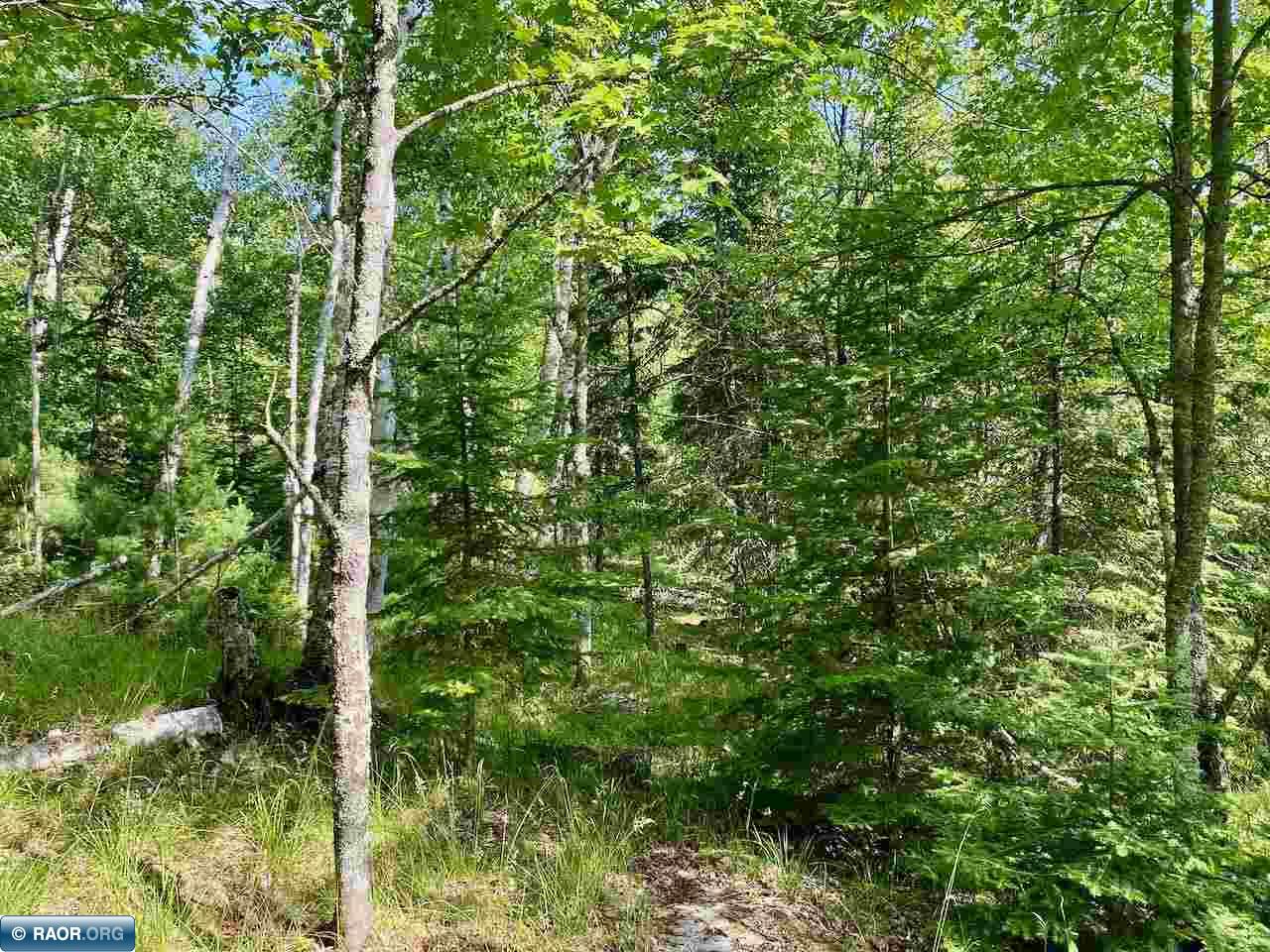 Parcel B Taylors Island Lake Vermilion Cook MN 55723 - Vermilion 149933 image6
