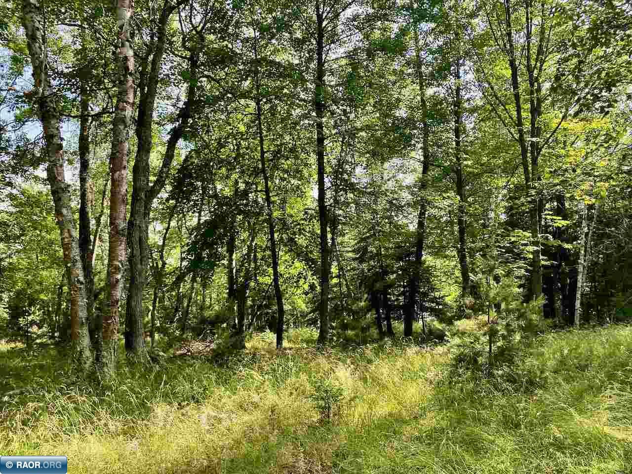 Parcel B Taylors Island Lake Vermilion Cook MN 55723 - Vermilion 149933 image7