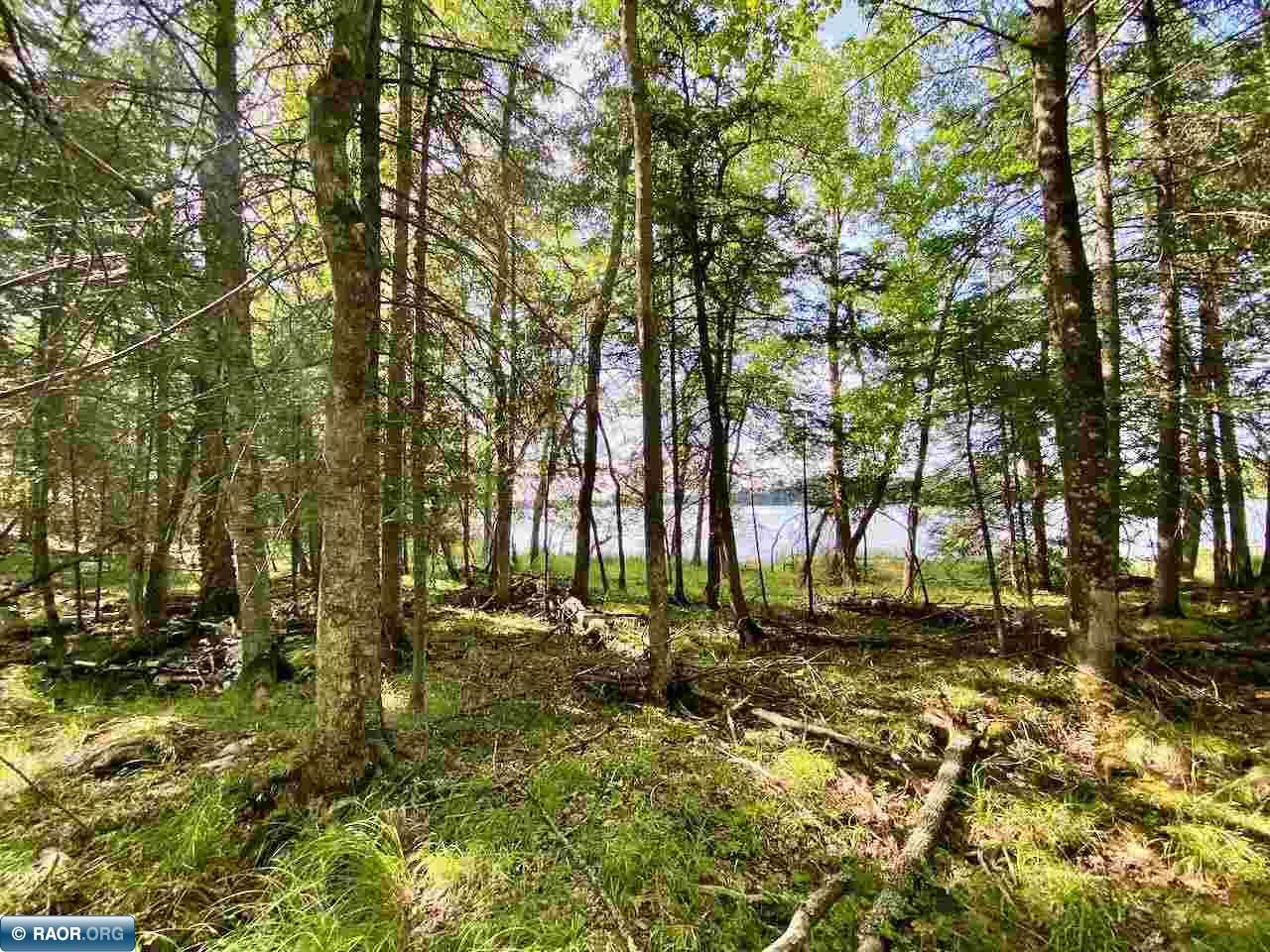 Parcel B Taylors Island Lake Vermilion Cook MN 55723 - Vermilion 149933 image8