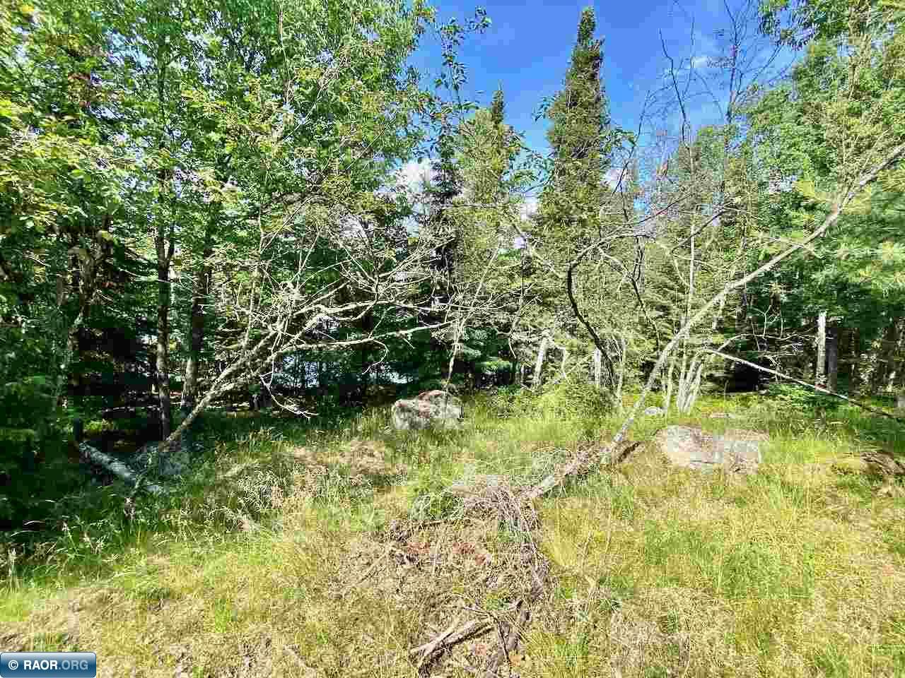 Parcel B Taylors Island Lake Vermilion Cook MN 55723 - Vermilion 149933 image9
