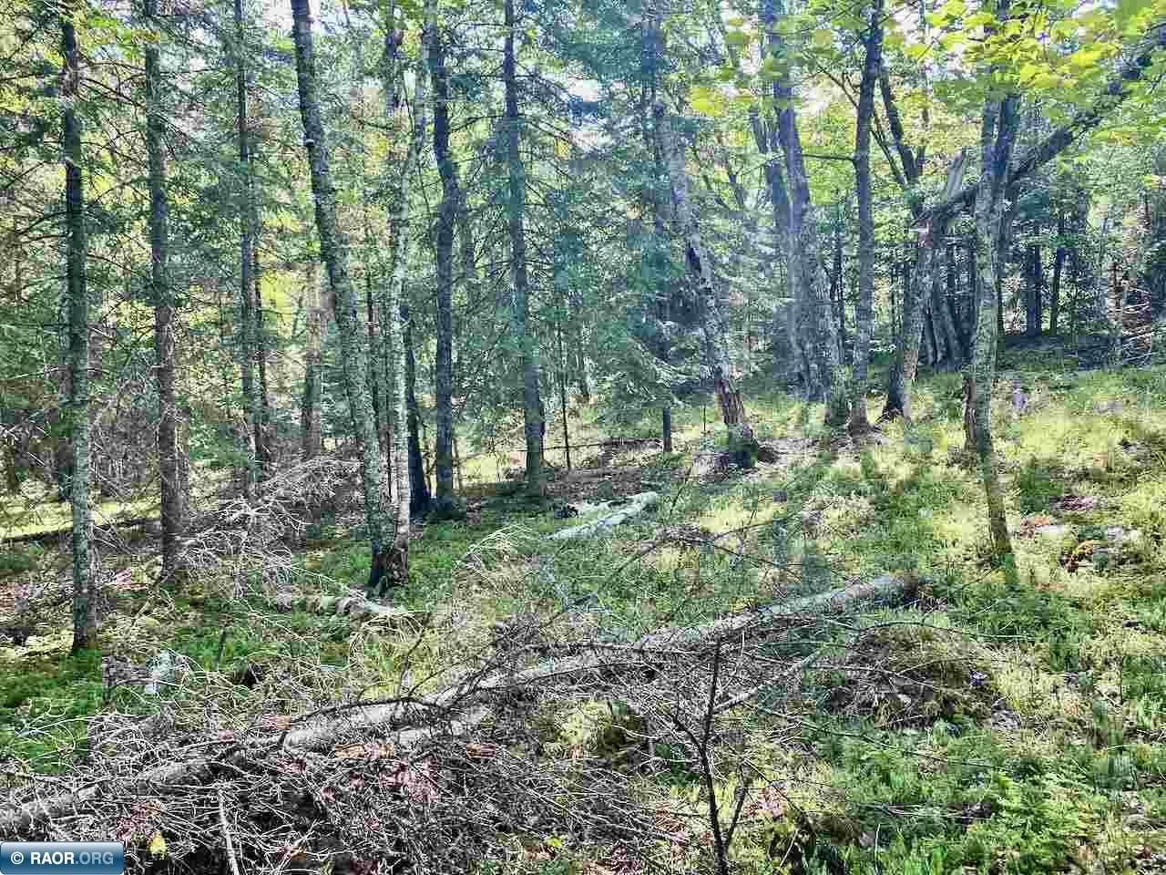 Parcel C Taylors Island Lake Vermilion Cook MN 55723 - Vermilion 149934 image10