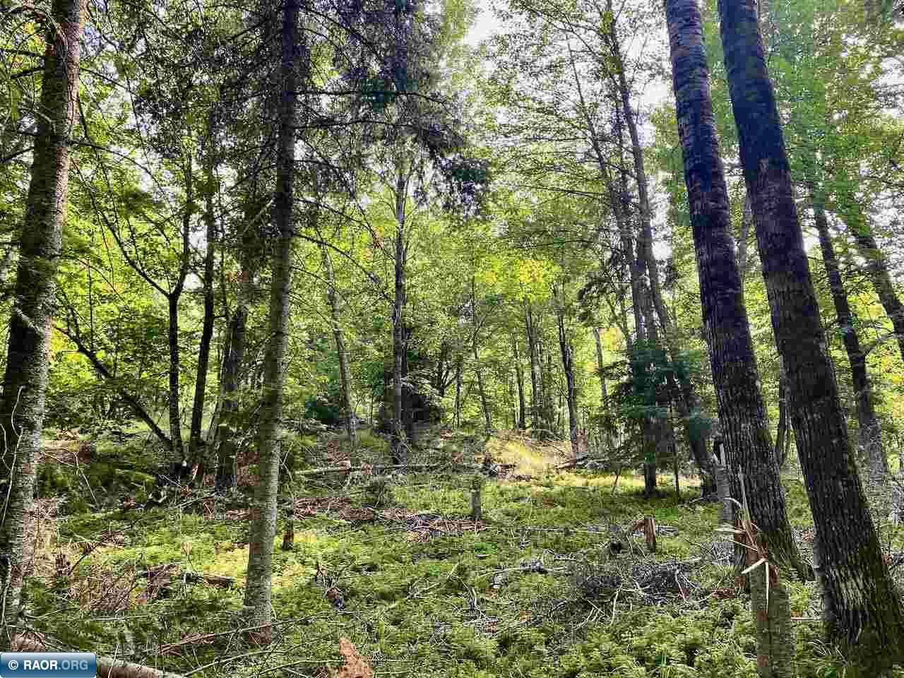 Parcel C Taylors Island Lake Vermilion Cook MN 55723 - Vermilion 149934 image11