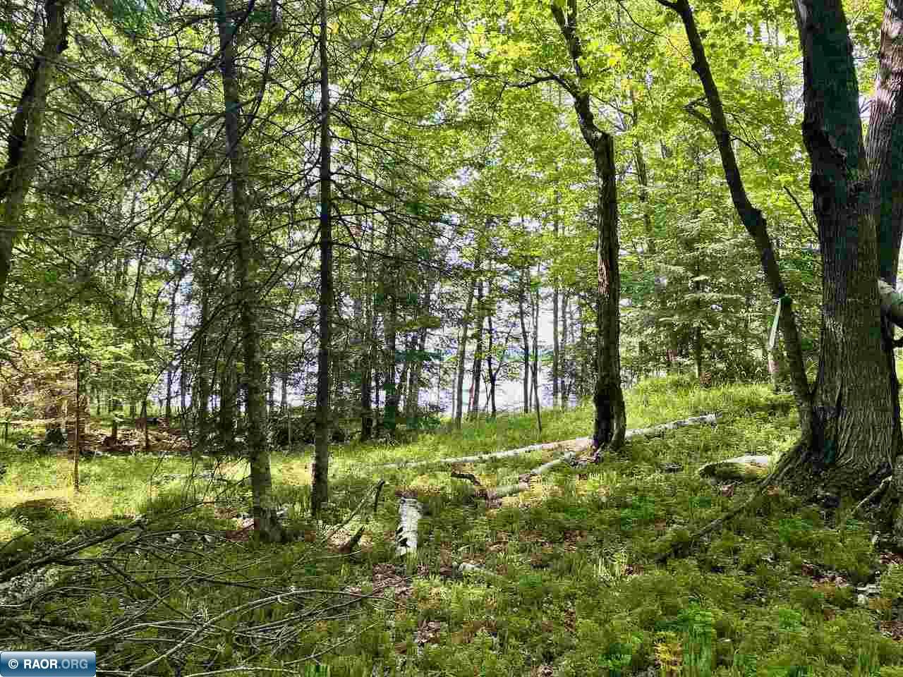 Parcel C Taylors Island Lake Vermilion Cook MN 55723 - Vermilion 149934 image12