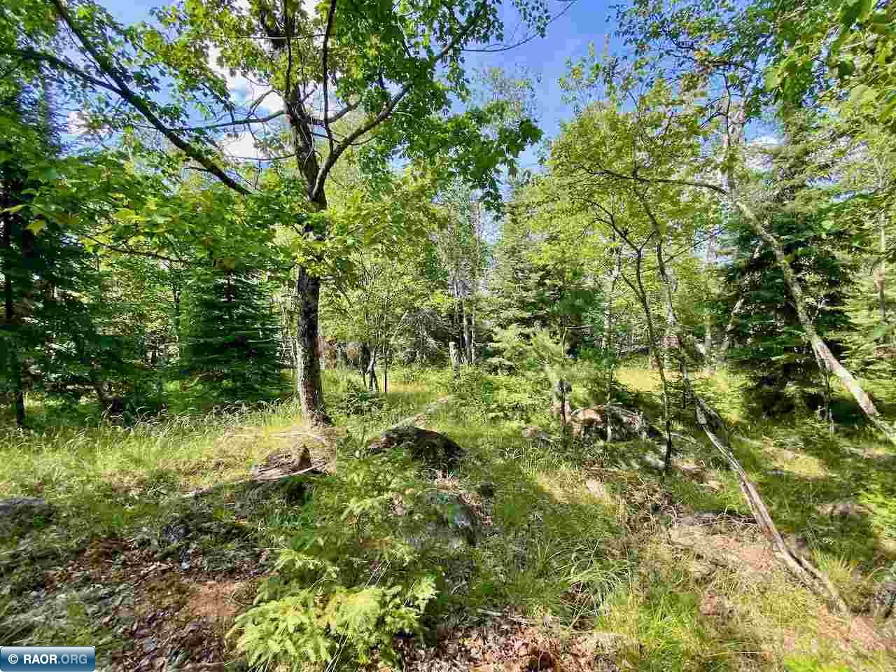 Parcel C Taylors Island Lake Vermilion Cook MN 55723 - Vermilion 149934 image7