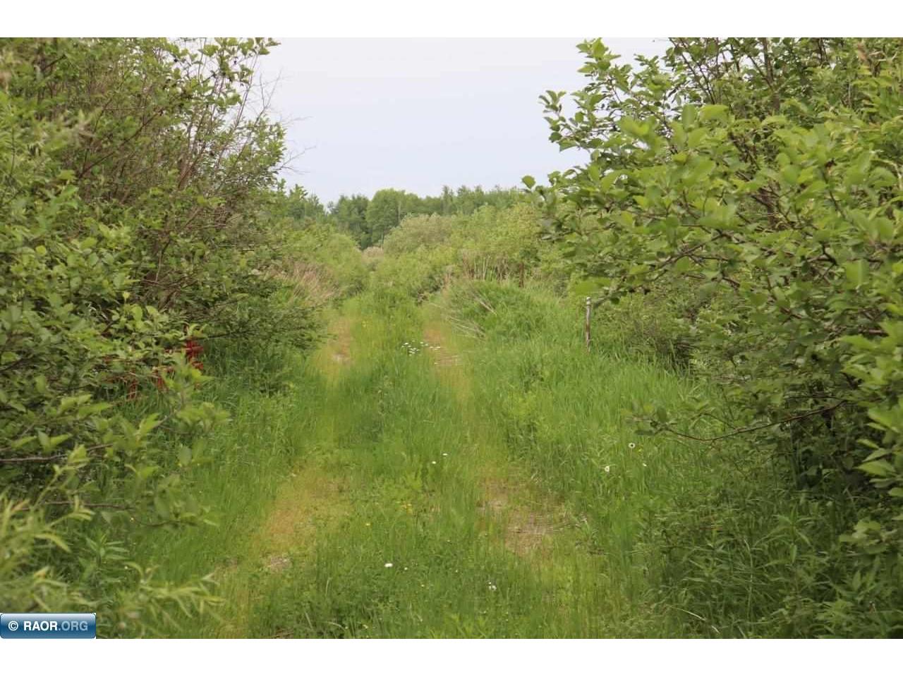 TBD.01 CREEK RD NASHWAUK MN 55769 145181 image1