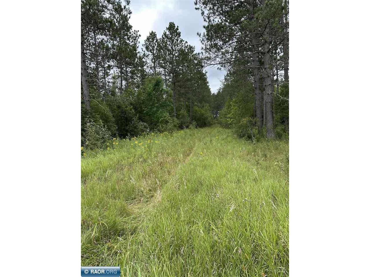 TBD 150 Acres N of Cross River Hall Littlefork MN 56653 149100 image1