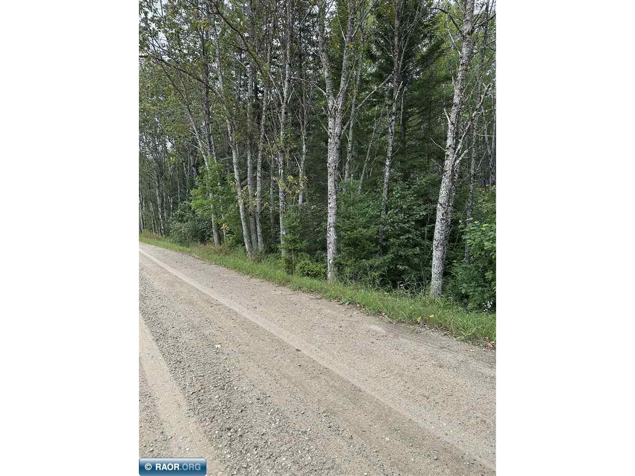 TBD 160 Acres Dentaybow Littlefork MN 56653 149099 image1