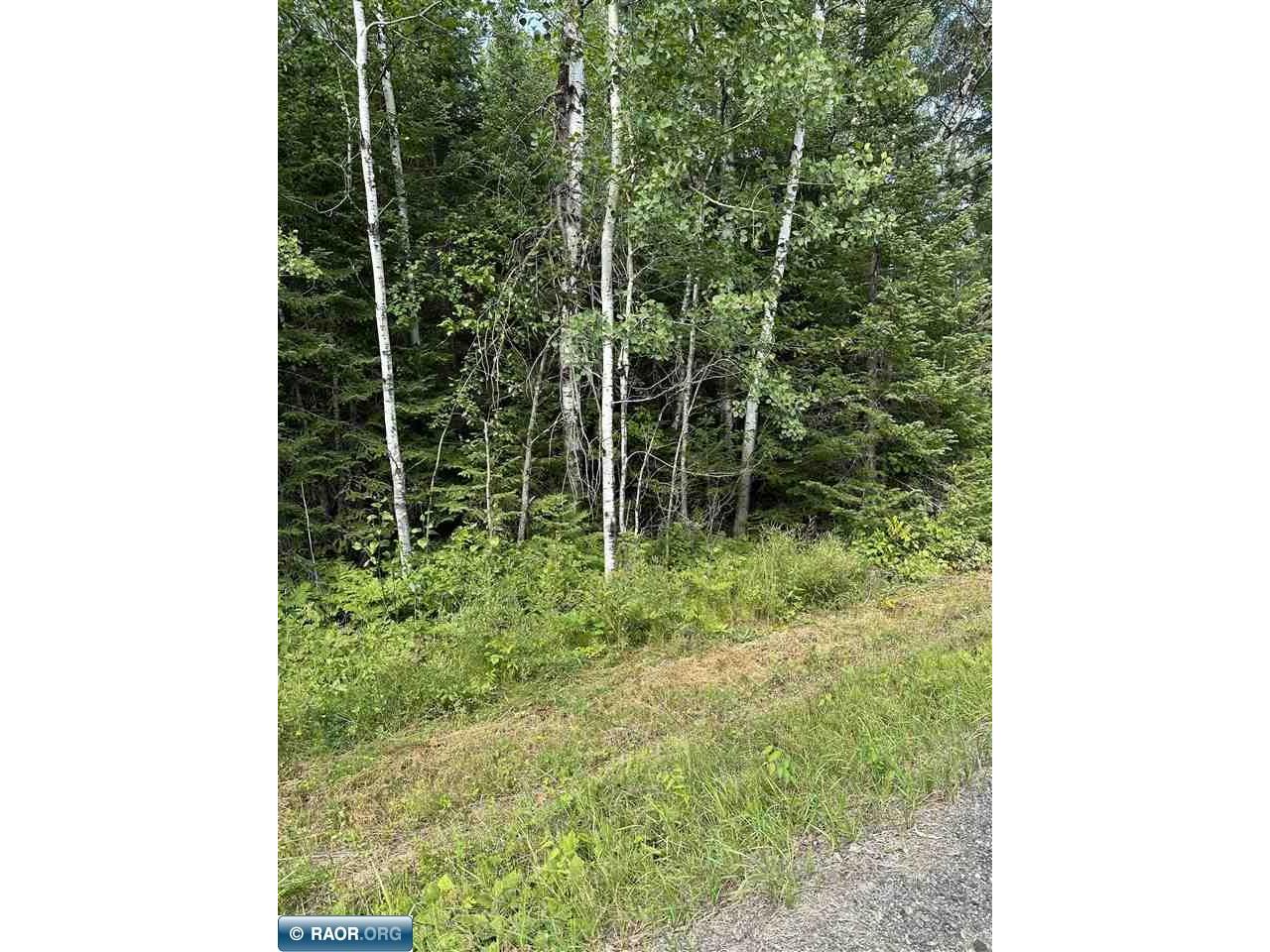 TBD-2 Tomahawk Lane Kabetogama MN 56669 145564 image1