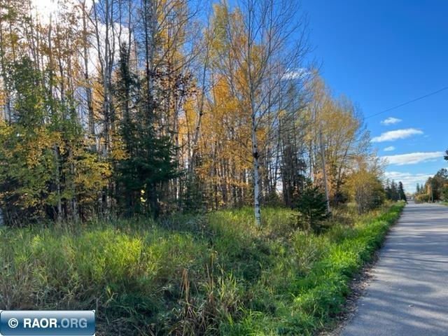 TBD 3rd Avenue SE Cook MN 55723 144333 image1