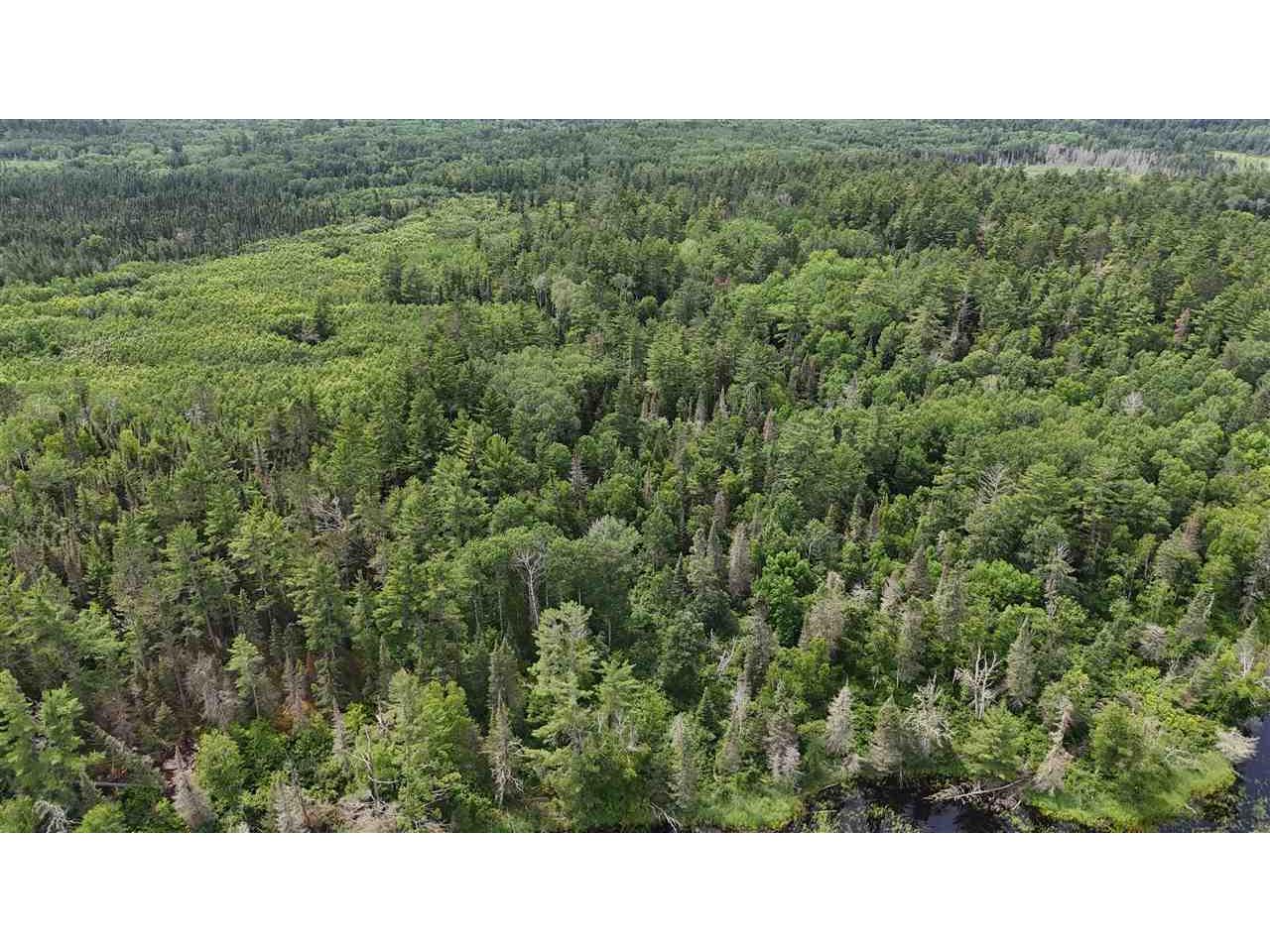 TBD 40 N Rollick Creek Crane Lake MN 55725 - Crane 148715 image10