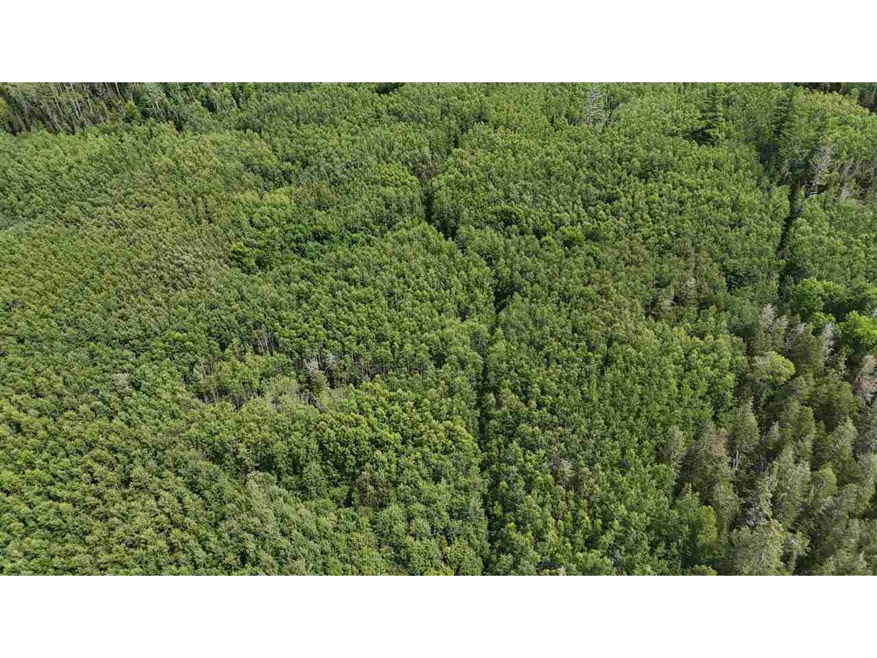 TBD 40 N Rollick Creek Crane Lake MN 55725 - Crane 148715 image11