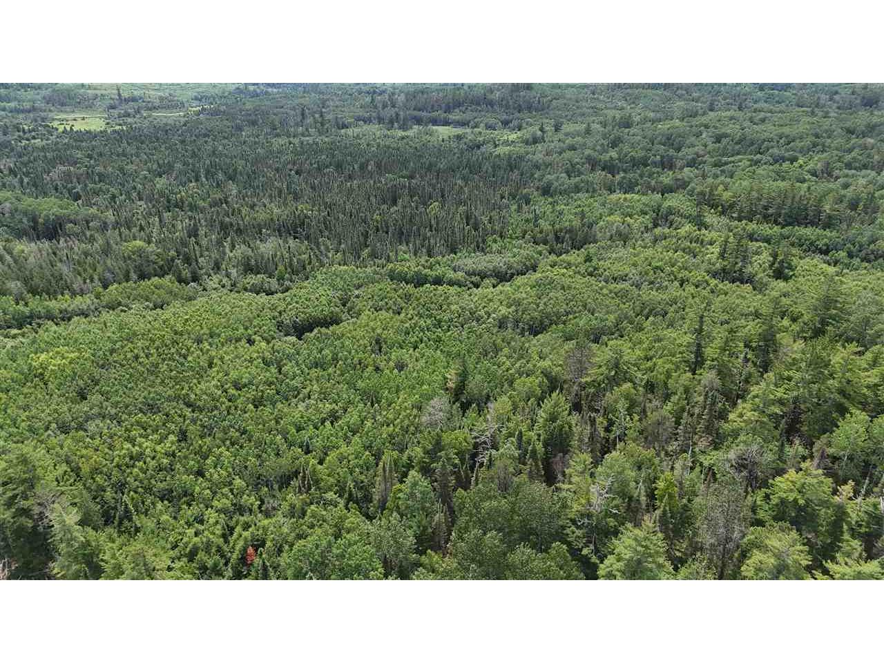 TBD 40 N Rollick Creek Crane Lake MN 55725 - Crane 148715 image12