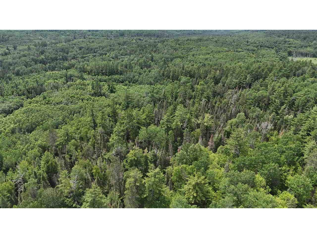 TBD 40 N Rollick Creek Crane Lake MN 55725 - Crane 148715 image13