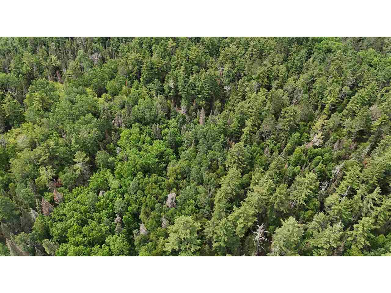 TBD 40 N Rollick Creek Crane Lake MN 55725 - Crane 148715 image14