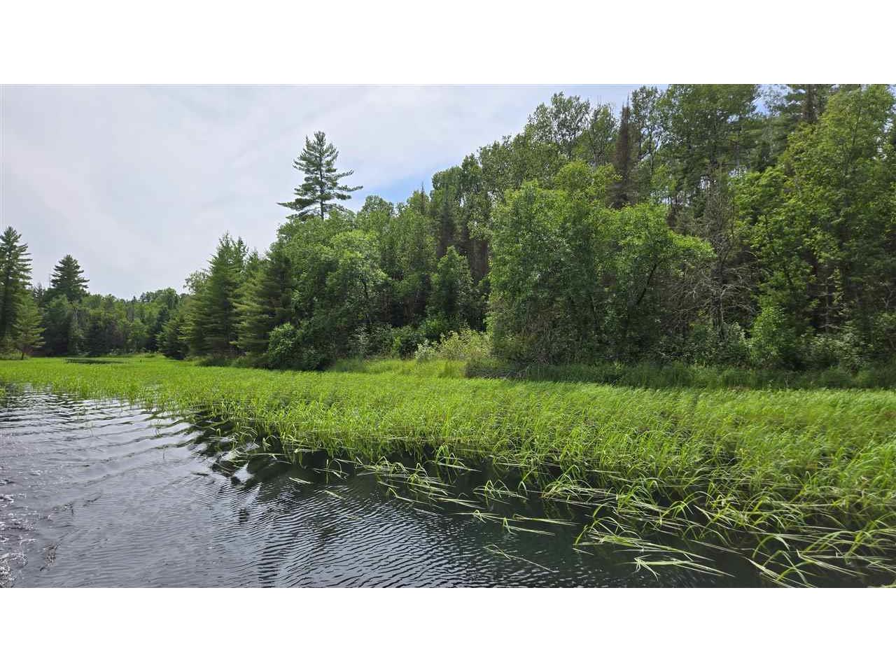 TBD 40 N Rollick Creek Crane Lake MN 55725 - Crane 148715 image2