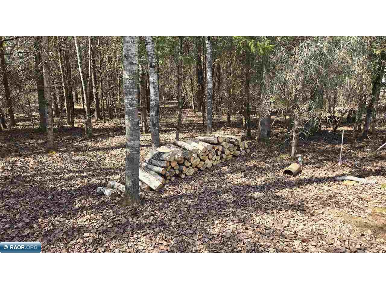 TBD 43 Lummi Rd Orr MN 55771 149952 image16