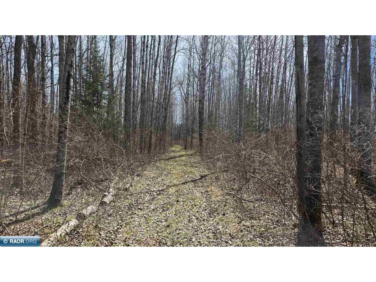 TBD 43 Lummi Rd Orr MN 55771 149952 image22
