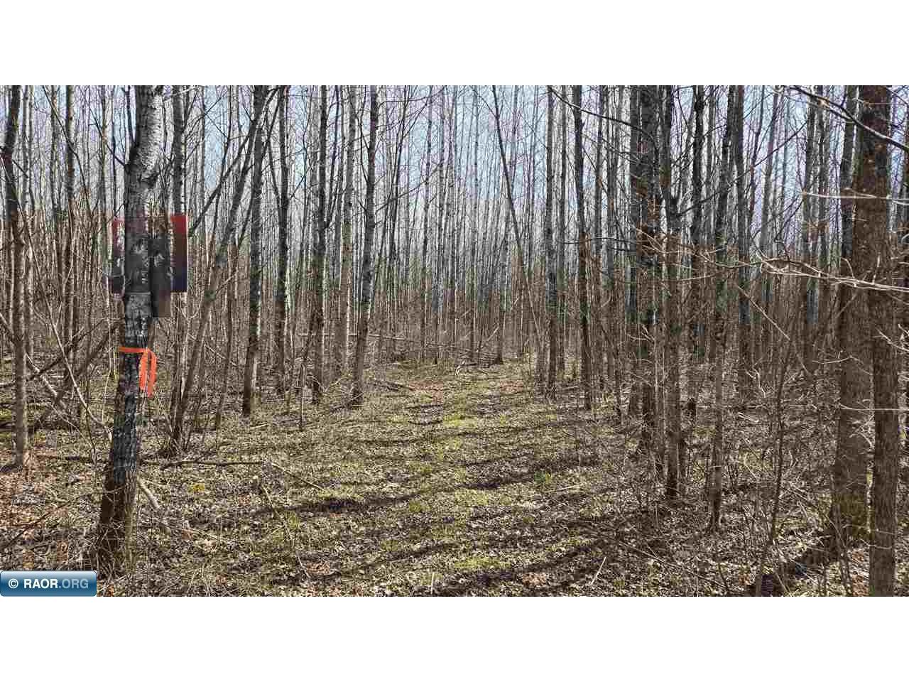 TBD 43 Lummi Rd Orr MN 55771 149952 image23